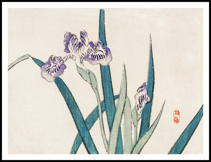 Plakat  Irises, Kōno Bairei Japoński Vintage do Salonu