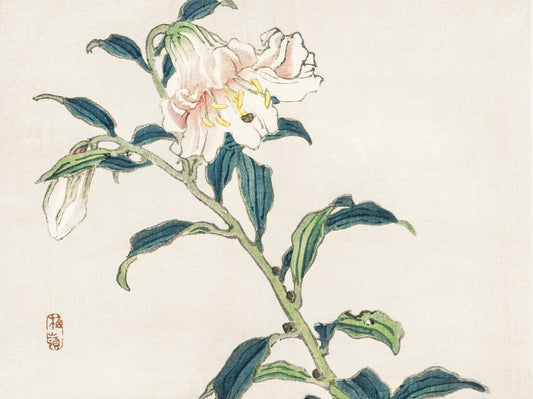 Plakat  Lily, Kōno Bairei Japoński Vintage do Salonu