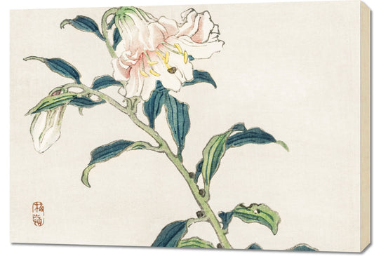 Obraz  Lily, Kōno Bairei Japoński Vintage do Salonu