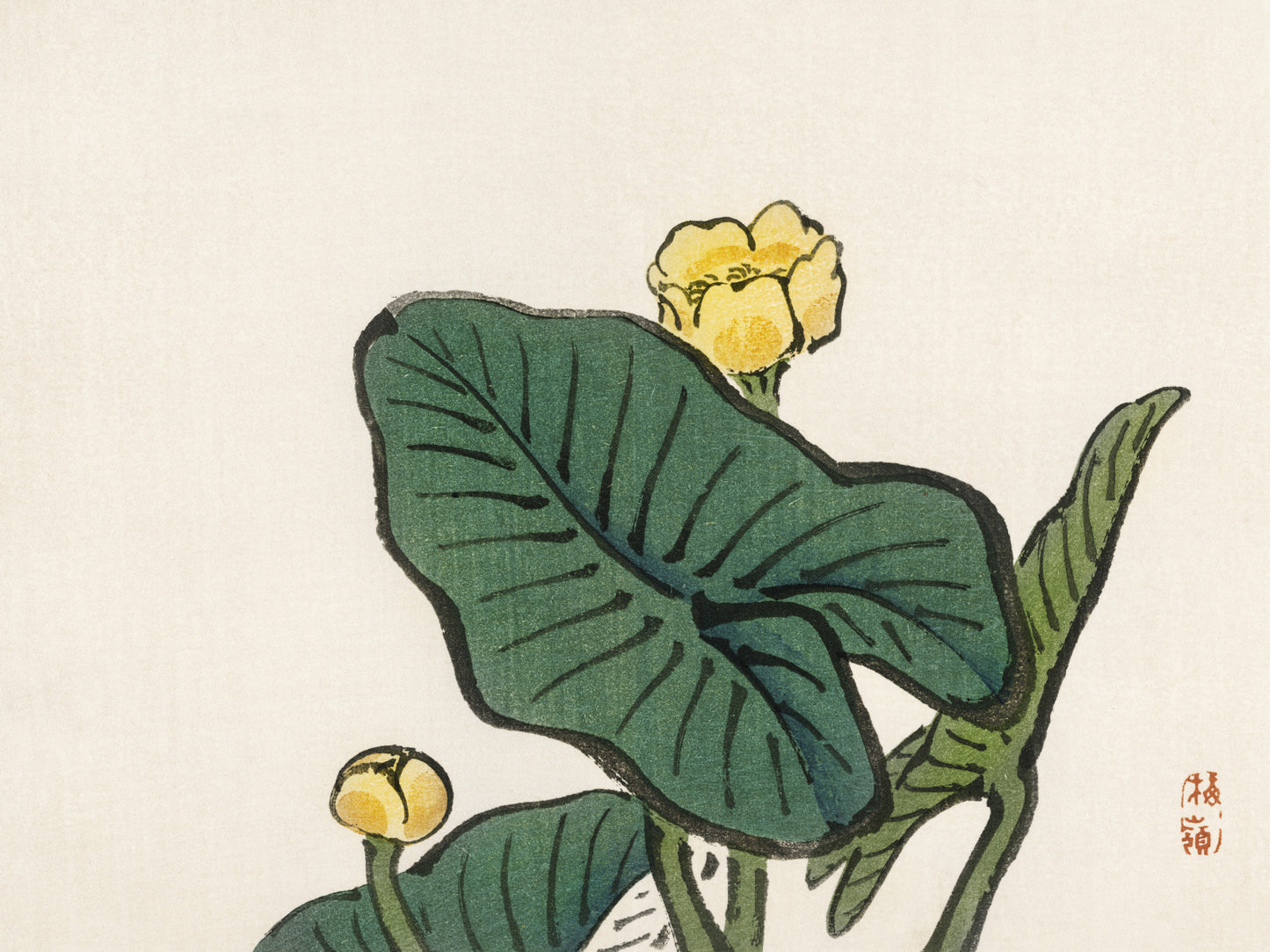 Plakat  Water-Lily, Kōno Bairei Japoński Vintage do Salonu