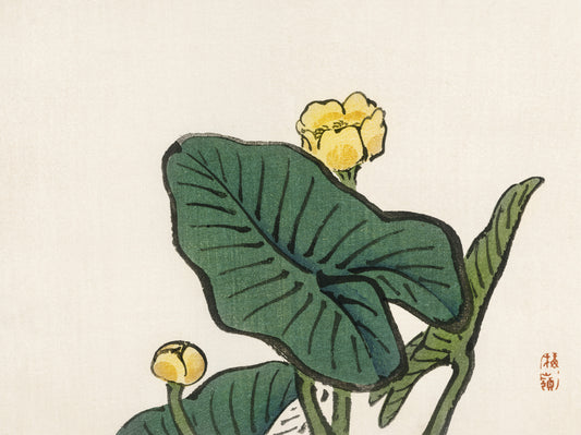 Plakat  Water-Lily, Kōno Bairei Japoński Vintage do Salonu