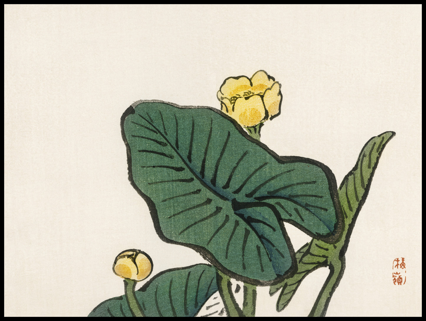 Plakat  Water-Lily, Kōno Bairei Japoński Vintage do Salonu