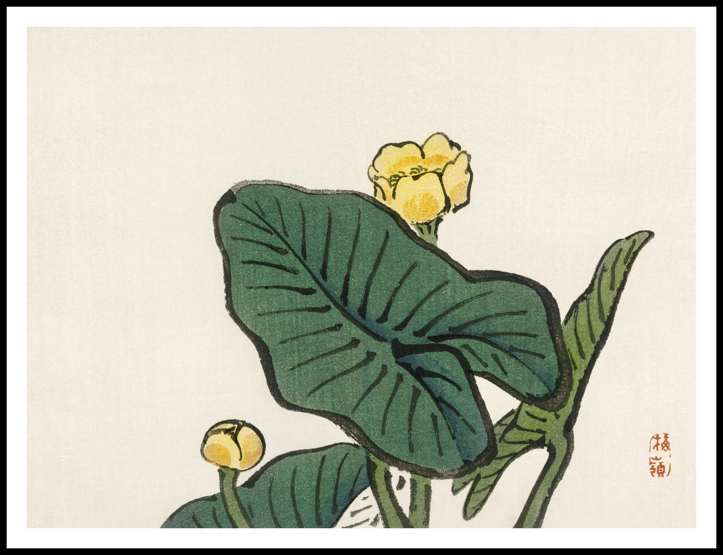 Plakat  Water-Lily, Kōno Bairei Japoński Vintage do Salonu