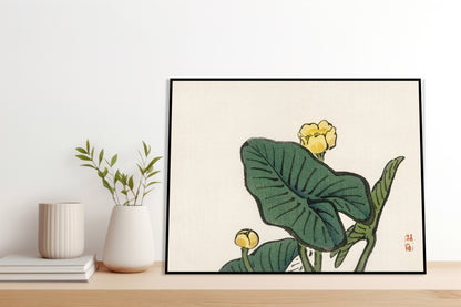 Plakat  Water-Lily, Kōno Bairei Japoński Vintage do Salonu
