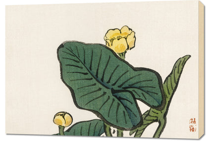 Obraz  Water-Lily, Kōno Bairei Japoński Vintage do Salonu