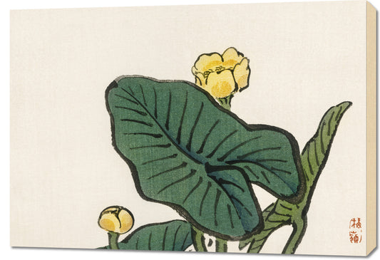 Obraz  Water-Lily, Kōno Bairei Japoński Vintage do Salonu