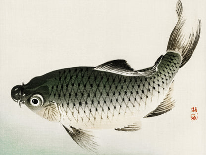 Plakat  Carp, Kōno Bairei Japoński Vintage do Salonu