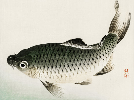 Plakat  Carp, Kōno Bairei Japoński Vintage do Salonu