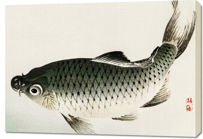 Obraz  Carp, Kōno Bairei Japoński Vintage do Salonu