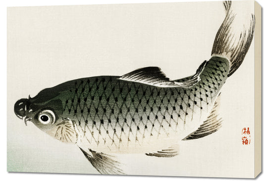 Obraz  Carp, Kōno Bairei Japoński Vintage do Salonu