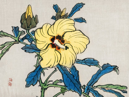 Plakat  Hibiscus, Kōno Bairei Japoński Vintage do Salonu