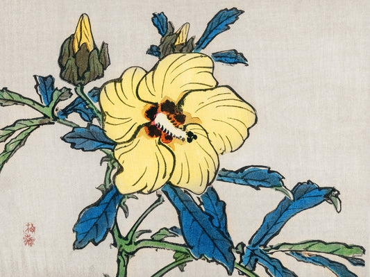Plakat  Hibiscus, Kōno Bairei Japoński Vintage do Salonu