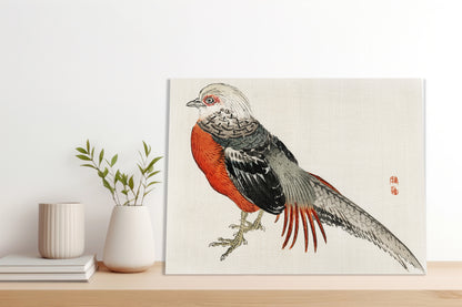 Obraz  Japanese Pheasant, Kōno Bairei Japoński Vintage do Salonu