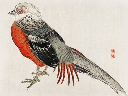 Plakat  Japanese Pheasant, Kōno Bairei Japoński Vintage do Salonu