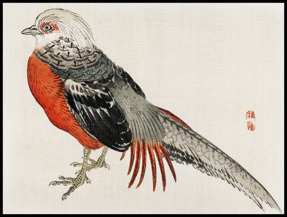 Plakat  Japanese Pheasant, Kōno Bairei Japoński Vintage do Salonu