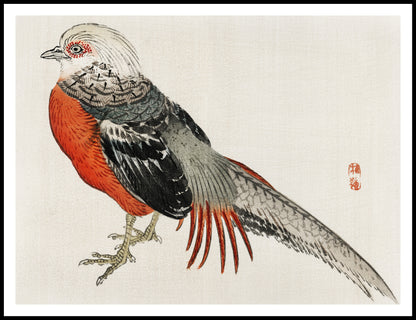 Plakat  Japanese Pheasant, Kōno Bairei Japoński Vintage do Salonu