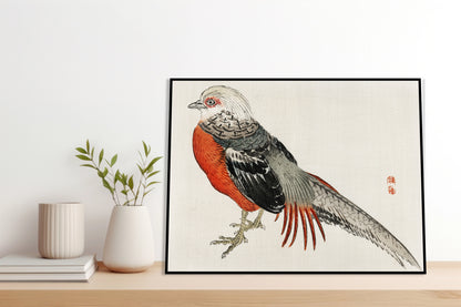 Plakat  Japanese Pheasant, Kōno Bairei Japoński Vintage do Salonu