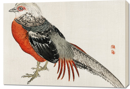 Obraz  Japanese Pheasant, Kōno Bairei Japoński Vintage do Salonu