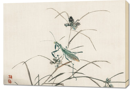 Obraz  Grasshopper, Kōno Bairei Japoński Vintage do Salonu