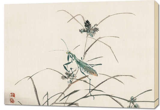 Obraz  Grasshopper, Kōno Bairei Japoński Vintage do Salonu
