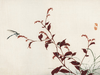 Plakat  Dragonfly, Kōno Bairei Japoński Vintage do Salonu