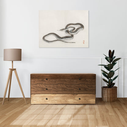 Obraz  Snake, Kōno Bairei