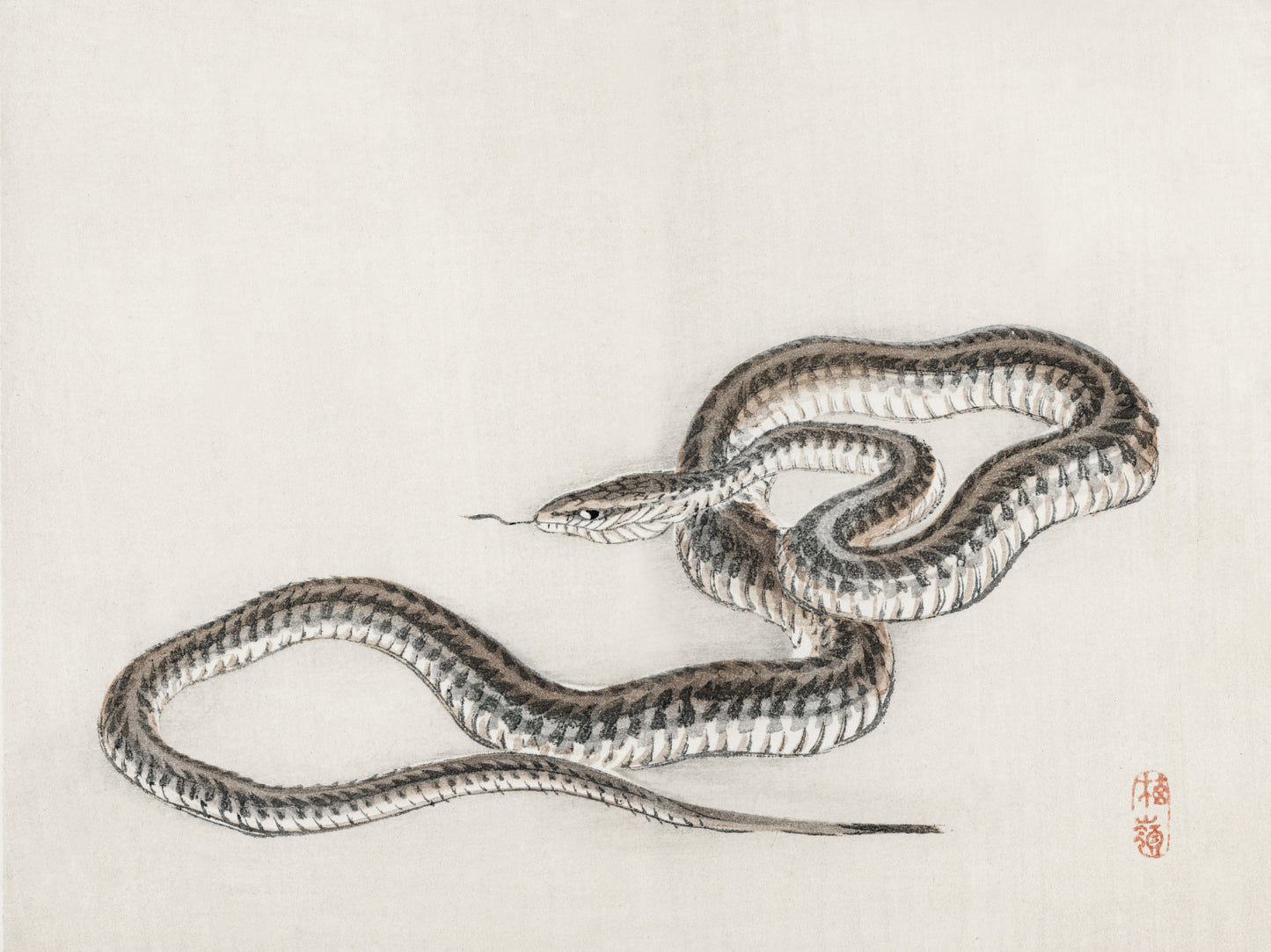 Plakat  Snake, Kōno Bairei
