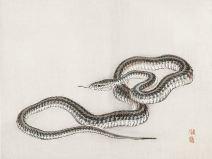 Plakat  Snake, Kōno Bairei