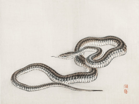 Plakat  Snake, Kōno Bairei