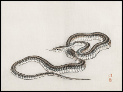 Plakat  Snake, Kōno Bairei