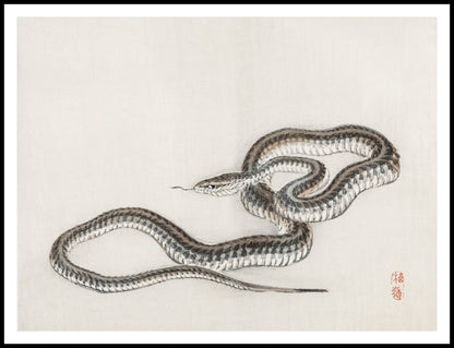Plakat  Snake, Kōno Bairei