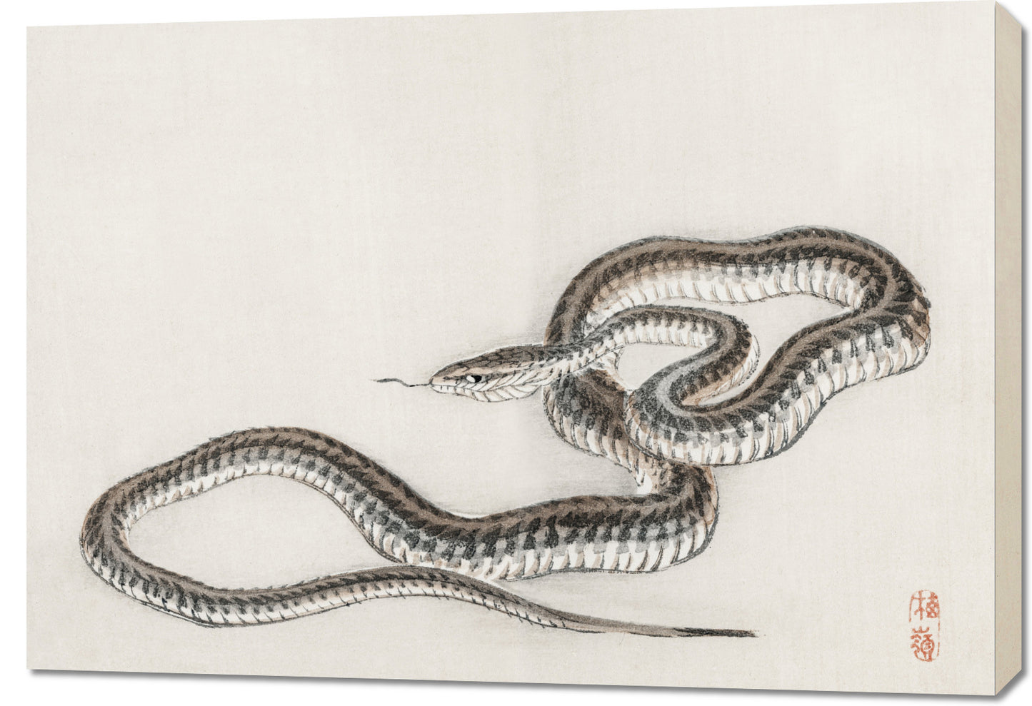 Obraz  Snake, Kōno Bairei