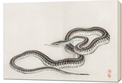 Obraz  Snake, Kōno Bairei