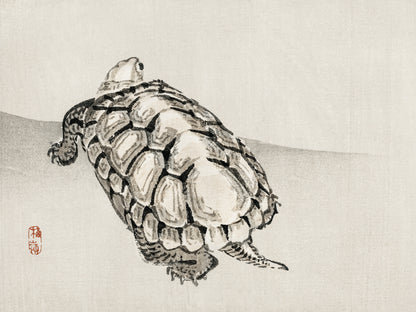 Plakat  Turtle, Kōno Bairei Japoński Vintage do Salonu