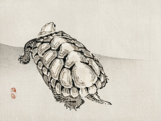 Plakat  Turtle, Kōno Bairei Japoński Vintage do Salonu