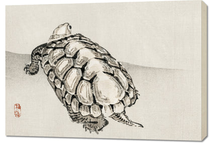 Obraz  Turtle, Kōno Bairei Japoński Vintage do Salonu