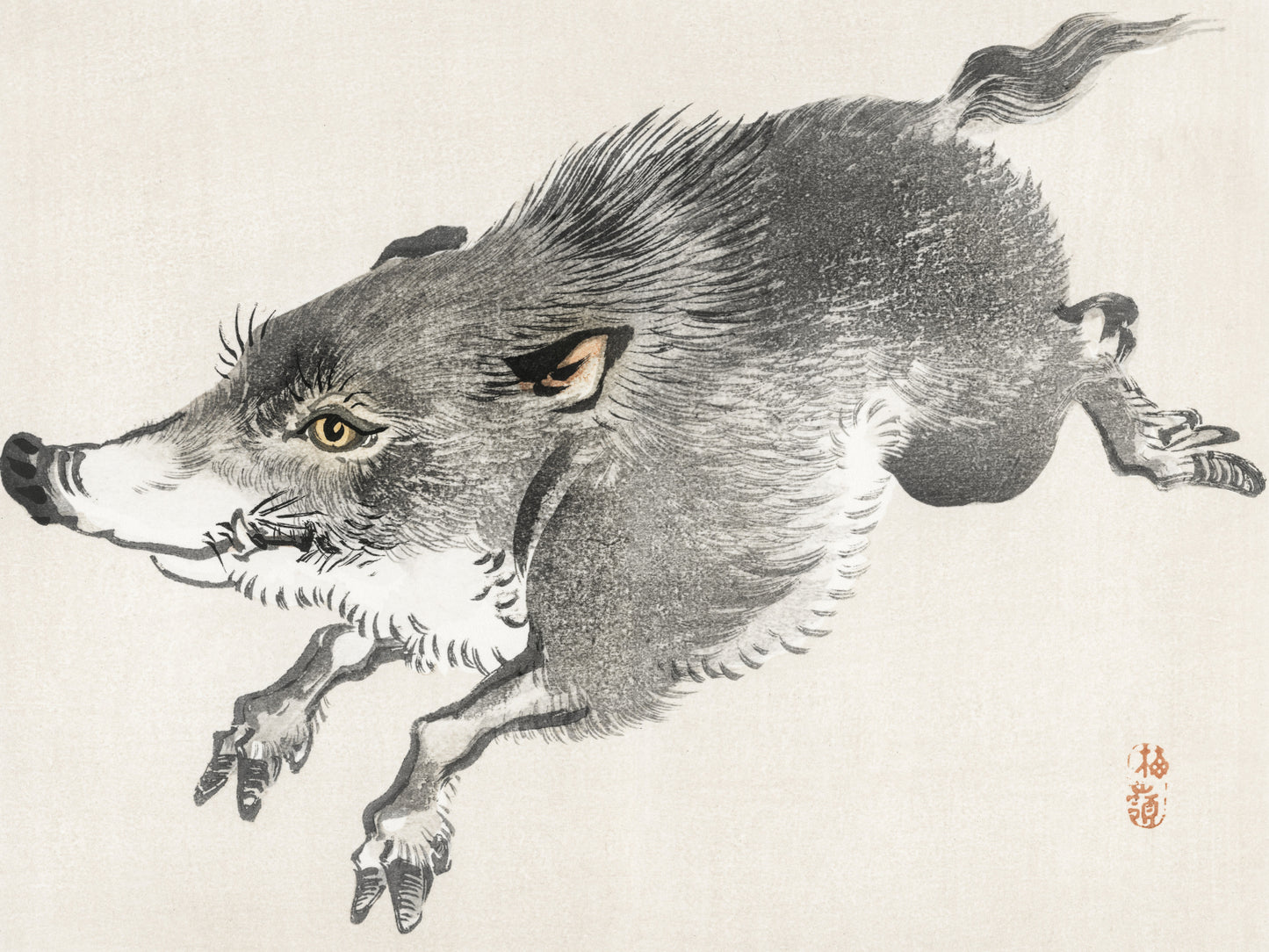 Plakat  Wild Boar, Kōno Bairei Japoński Vintage do Salonu