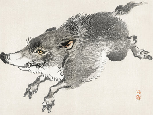 Plakat  Wild Boar, Kōno Bairei Japoński Vintage do Salonu