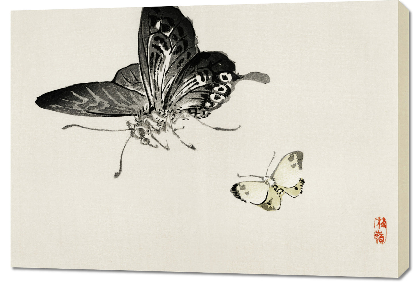 Obraz  Butterflies, Kōno Bairei Japoński Vintage do Salonu