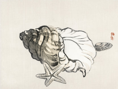 Plakat  Star Fish and Conchby, Kōno Bairei  Vintage do Salonu