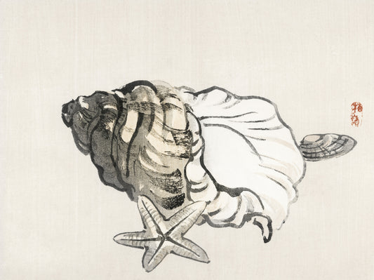 Plakat  Star Fish and Conchby, Kōno Bairei  Vintage do Salonu