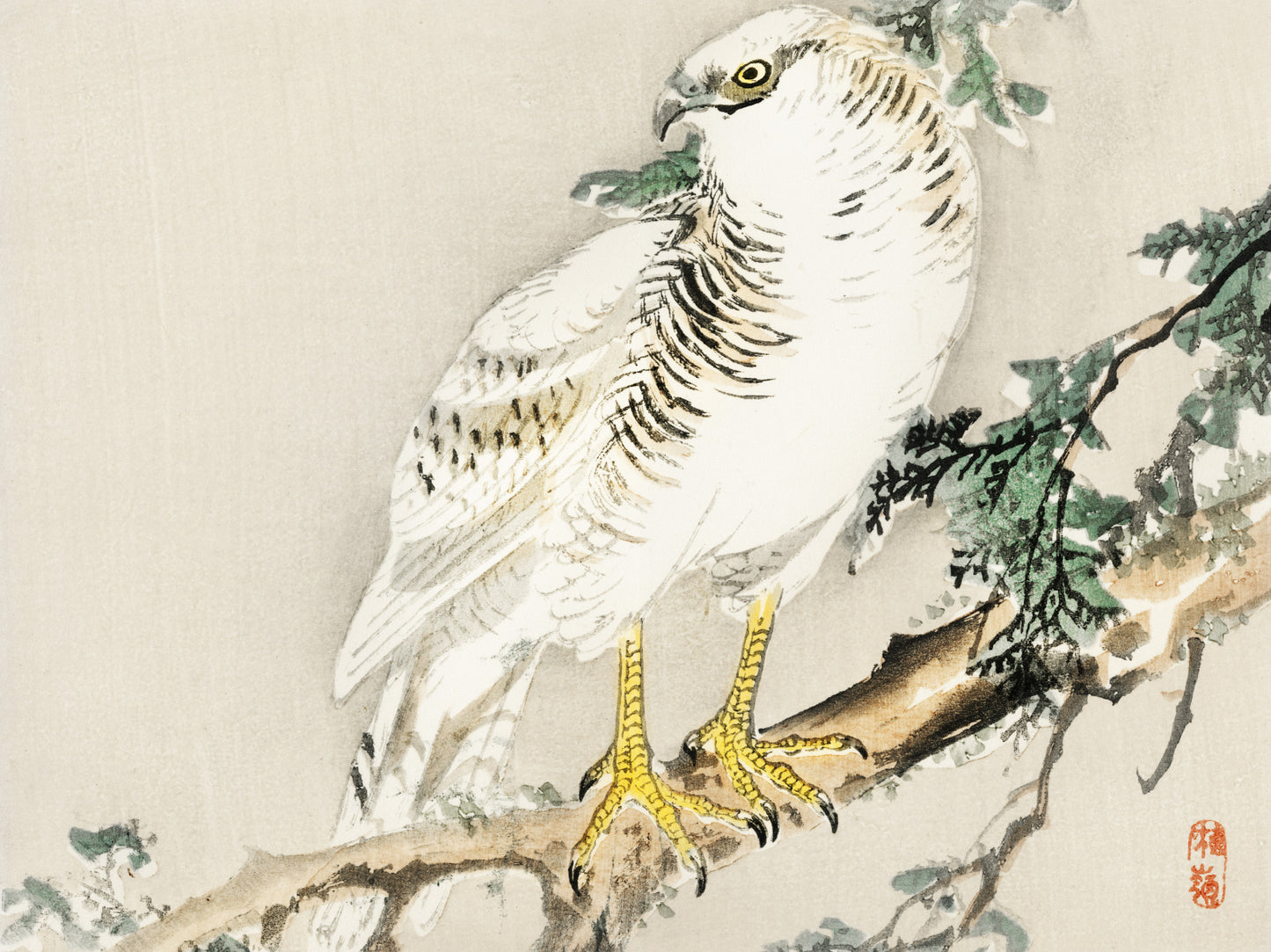 Plakat  Northern Mockingbird, Kōno Bairei Vintage do Salonu