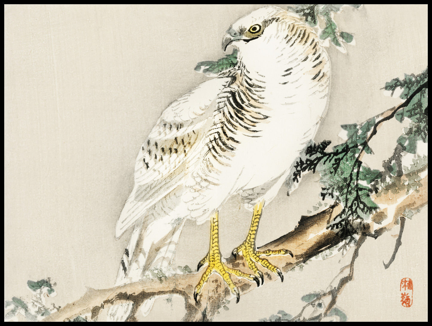 Plakat  Northern Mockingbird, Kōno Bairei Vintage do Salonu