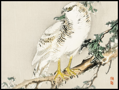 Plakat  Northern Mockingbird, Kōno Bairei Vintage do Salonu