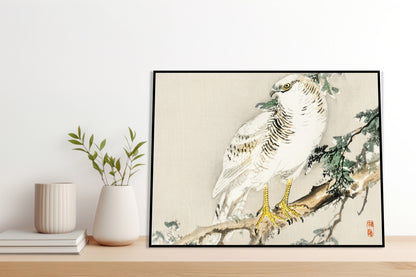 Plakat  Northern Mockingbird, Kōno Bairei Vintage do Salonu