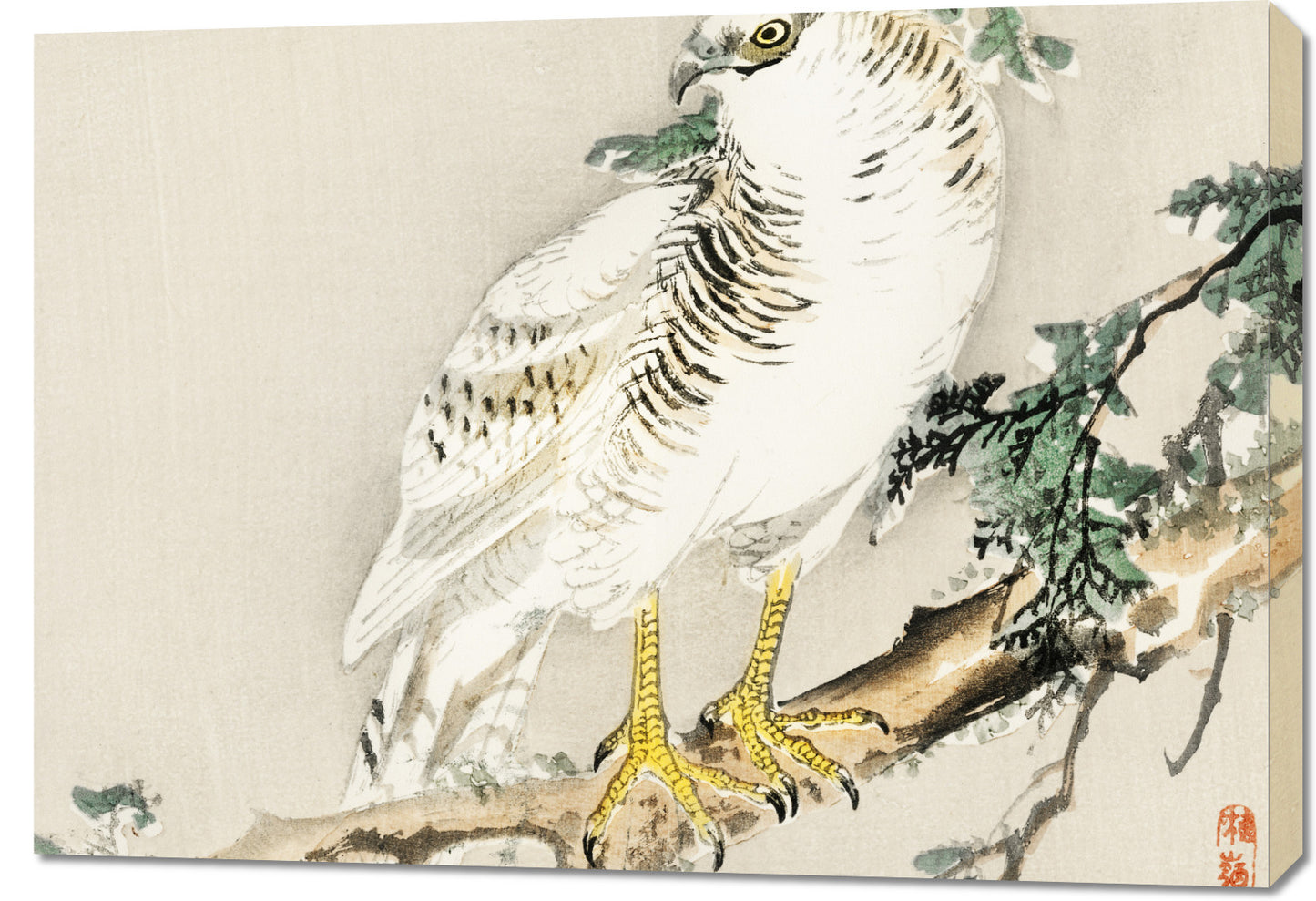 Obraz  Northern Mockingbird, Kōno Bairei Vintage do Salonu