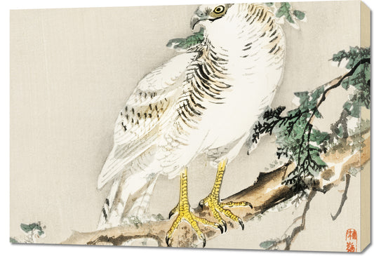 Obraz  Northern Mockingbird, Kōno Bairei Vintage do Salonu