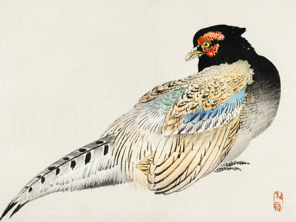 Plakat  Peregrine Falcon, Kōno Bairei Japoński Vintage do Salonu