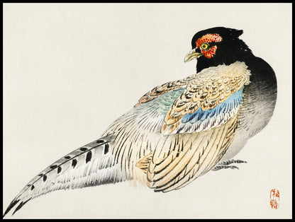 Plakat  Peregrine Falcon, Kōno Bairei Japoński Vintage do Salonu