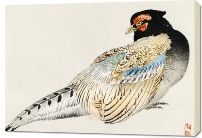 Obraz  Peregrine Falcon, Kōno Bairei Japoński Vintage do Salonu